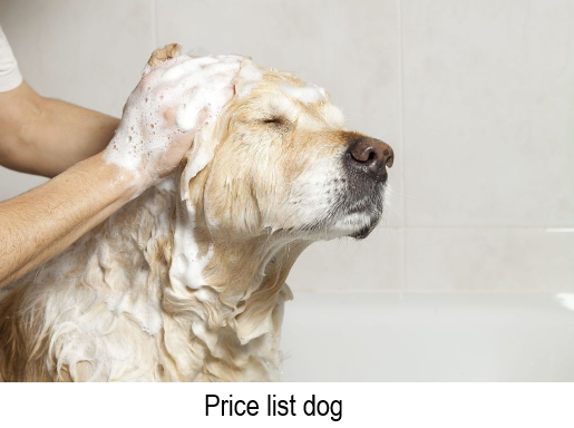 tarifs du toilettage pour chiens